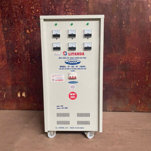 bien ap tu ngau ba pha 10kva day dong 1